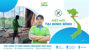 5 địa chỉ diệt mối tận gốc tại Ninh Bình uy tín nhất