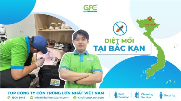 5 địa chỉ diệt mối tại Bắc Kạn tận gốc chuyên nghiệp