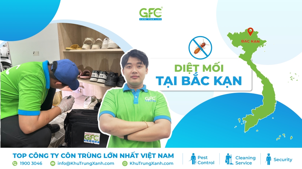 Diệt mối tại Bắc Kanj