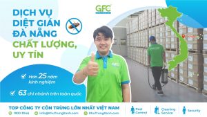 Dịch vụ diệt gián tại Đà Nẵng tận gốc uy tín, hiệu quả