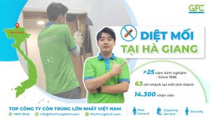5 địa chỉ diệt mối tận gốc tại Hà Giang uy tín nhất