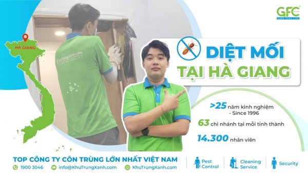 5 địa chỉ diệt mối tận gốc tại Hà Giang uy tín nhất
