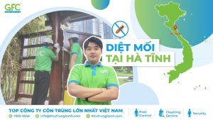 5 địa chỉ diệt mối tận gốc tại Hà Tĩnh uy tín, giá rẻ