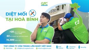 5 địa chỉ diệt mối tận gốc tại Hòa Bình uy tín nhất