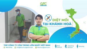 6 đơn vị diệt mối tại Khánh Hòa tận gốc, uy tín nhất 2025