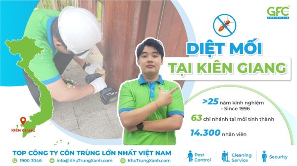 Bảng giá dịch vụ diệt mối tại Kiên Giang mới nhất 2025