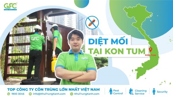 Bảng giá dịch vụ diệt mối tại Kon Tum mới nhất 2025