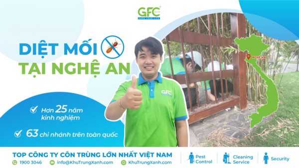 5 địa chỉ diệt mối tận gốc tại Nghệ An uy tín nhất 2025