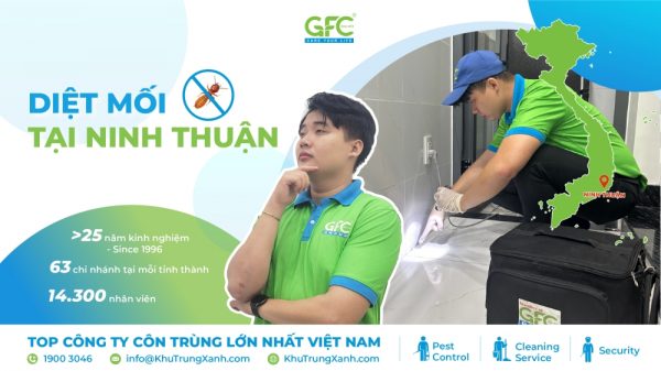 Bảng giá dịch vụ diệt mối tại Ninh Thuận mới nhất 2025
