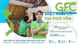 5 địa chỉ diệt mối tận gốc tại Phú Yên uy tín nhất