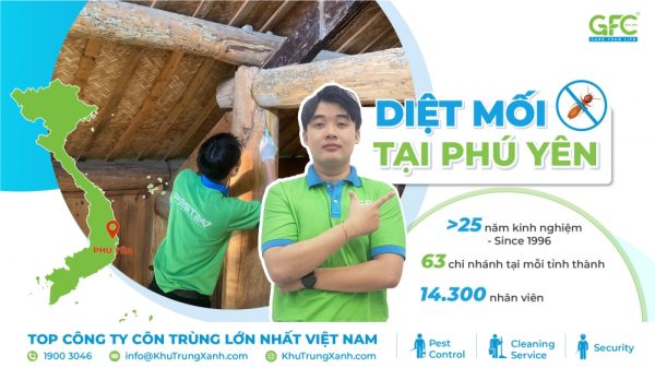 5 địa chỉ diệt mối tận gốc tại Phú Yên uy tín nhất