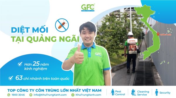5 địa chỉ diệt mối tận gốc tại Quảng Ngãi uy tín nhất