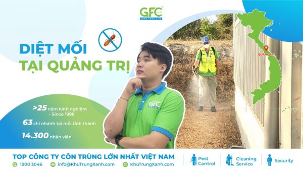 5 địa chỉ diệt mối tận gốc tại Quảng Trị uy tín nhất