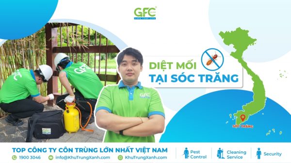 5 địa chỉ diệt mối tận gốc tại Sóc Trăng uy tín nhất