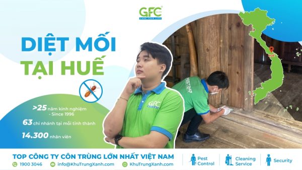 5 địa chỉ diệt mối tận gốc tại Huế uy tín nhất