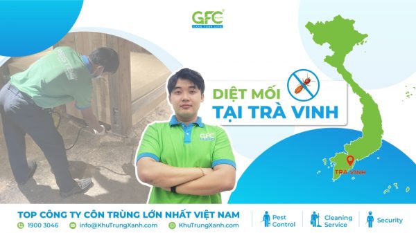5 địa chỉ diệt mối tận gốc tại Trà Vinh uy tín nhất