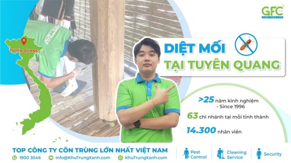 5 địa chỉ diệt mối tận gốc tại Tuyên Quang uy tín nhất