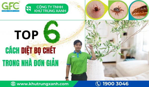 13 cách diệt bọ chét đơn giản, hiệu quả nhất 2025