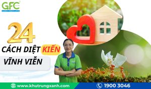 15 cách diệt kiến tận gốc an toàn, hiệu quả nhất 2025