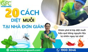 9 cách diệt muỗi tại nhà đơn giản, hiệu quả nhất 2025