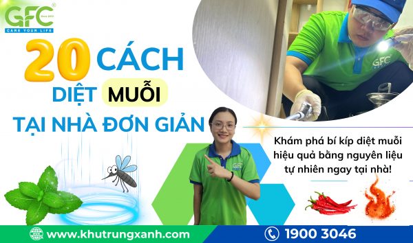 9 cách diệt muỗi tại nhà đơn giản, hiệu quả nhất 2025