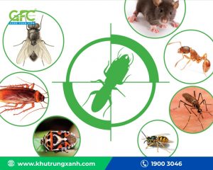 Địa chỉ mua thuốc diệt côn trùng tại Hà Nội chính hãng, an toàn