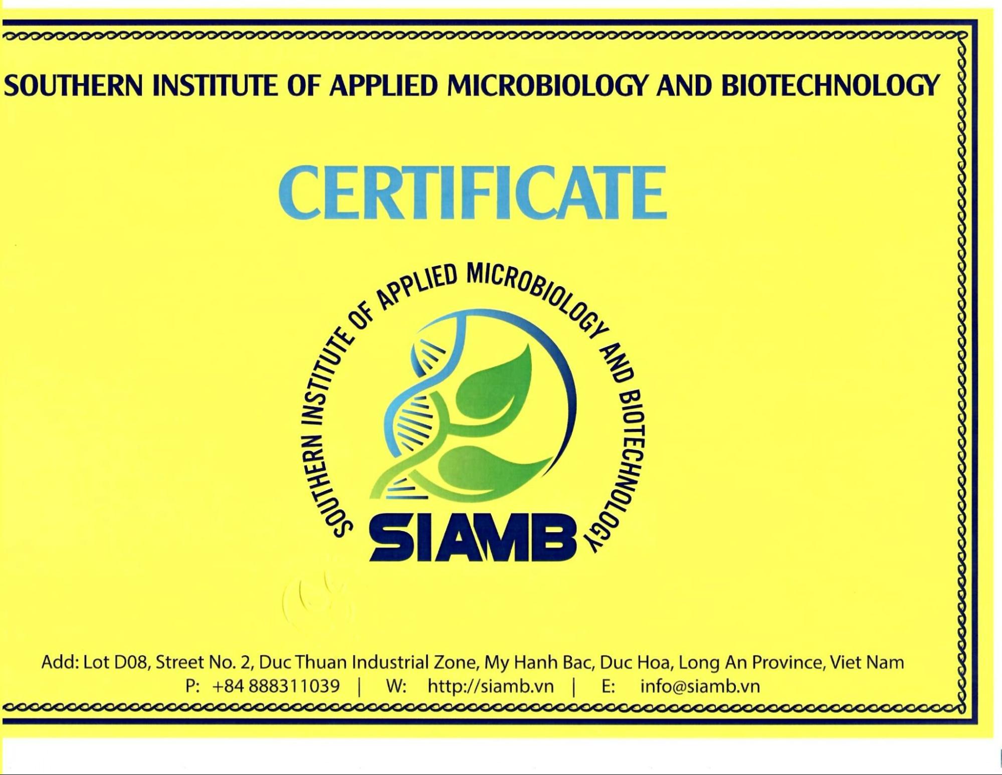 diệt mối tại Hải Dương