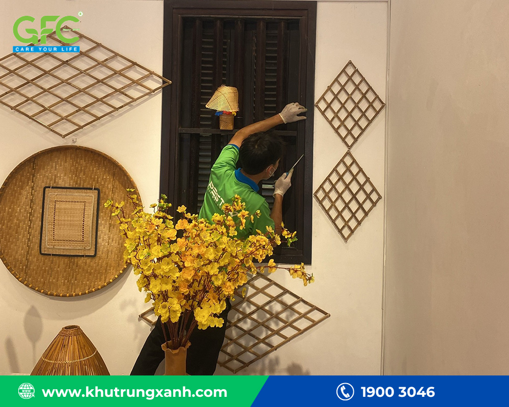 diệt mối tại Sóc Trăng