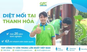 5 địa chỉ diệt mối tận gốc tại Thanh Hóa uy tín nhất