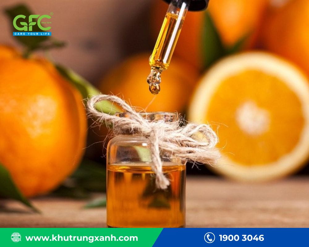 Tinh dầu cam sả là khắc tinh của mối mọt gây hại