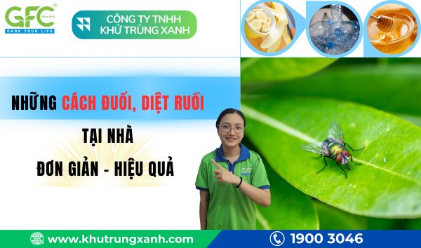TOP 11+ cách đuổi ruồi tại nhà đơn giản, hiệu quả nhất 2024