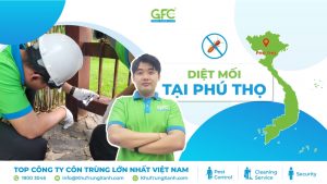 5 địa chỉ diệt mối tận gốc tại Phú Thọ uy tín nhất