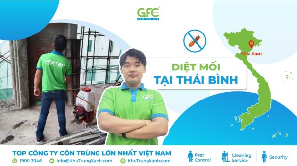 5 địa chỉ diệt mối tại Thái Bình tận gốc, uy tín nhất