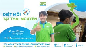 5 đơn vị diệt mối tận gốc tại Thái Nguyên uy tín nhất