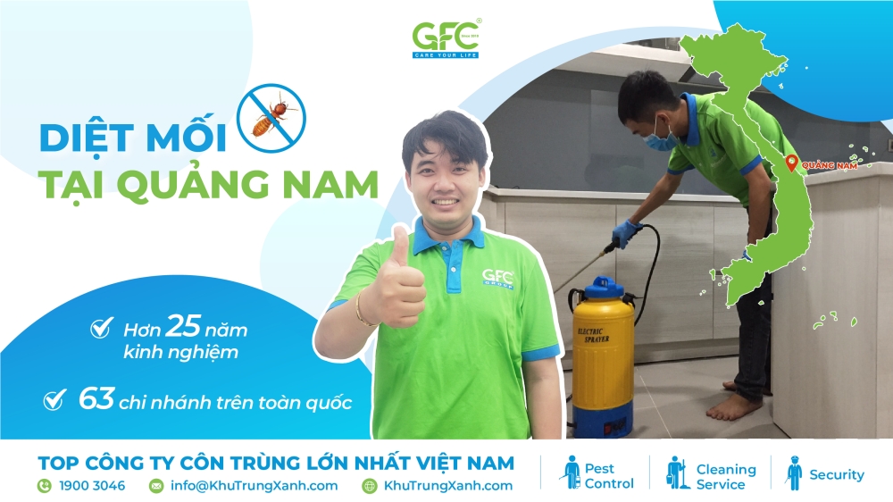 diệt mối tại Quảng Nam