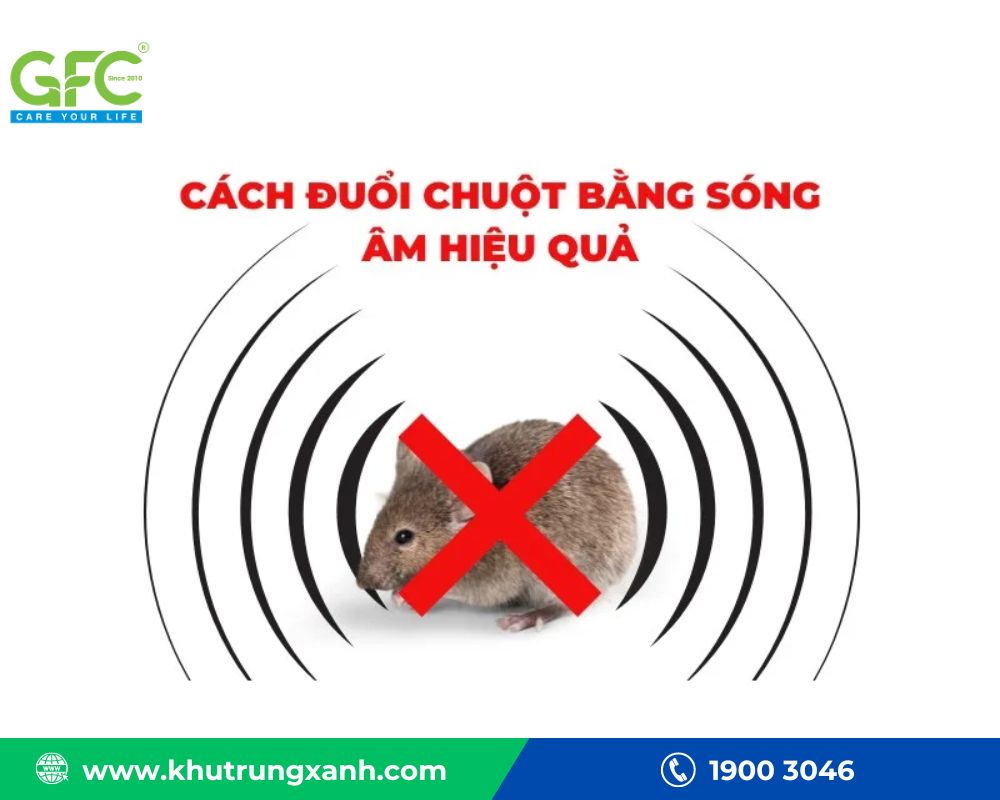 Các thiết bị phát sóng âm tạo ra âm thanh khó chịu đối với chuột, khiến chúng hoảng sợ
