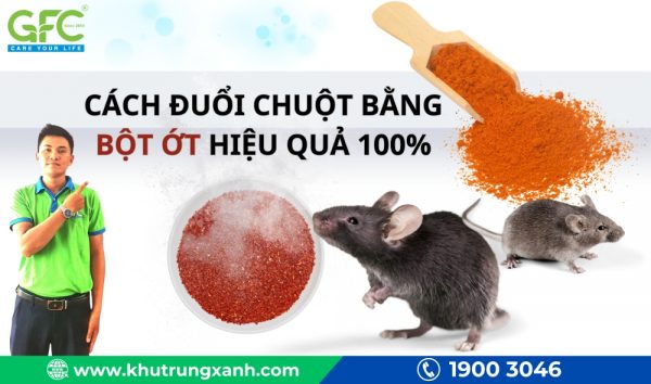 Cách đuổi chuột bằng bột ớt hiệu quả 100% cho gia đình bạn