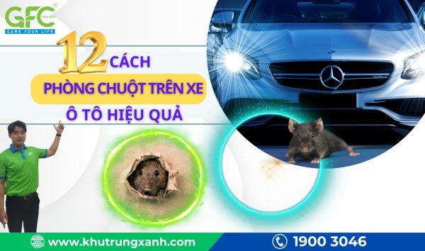 12 Cách phòng chống, diệt chuột vào xe ô tô hiệu quả nhất năm 2024