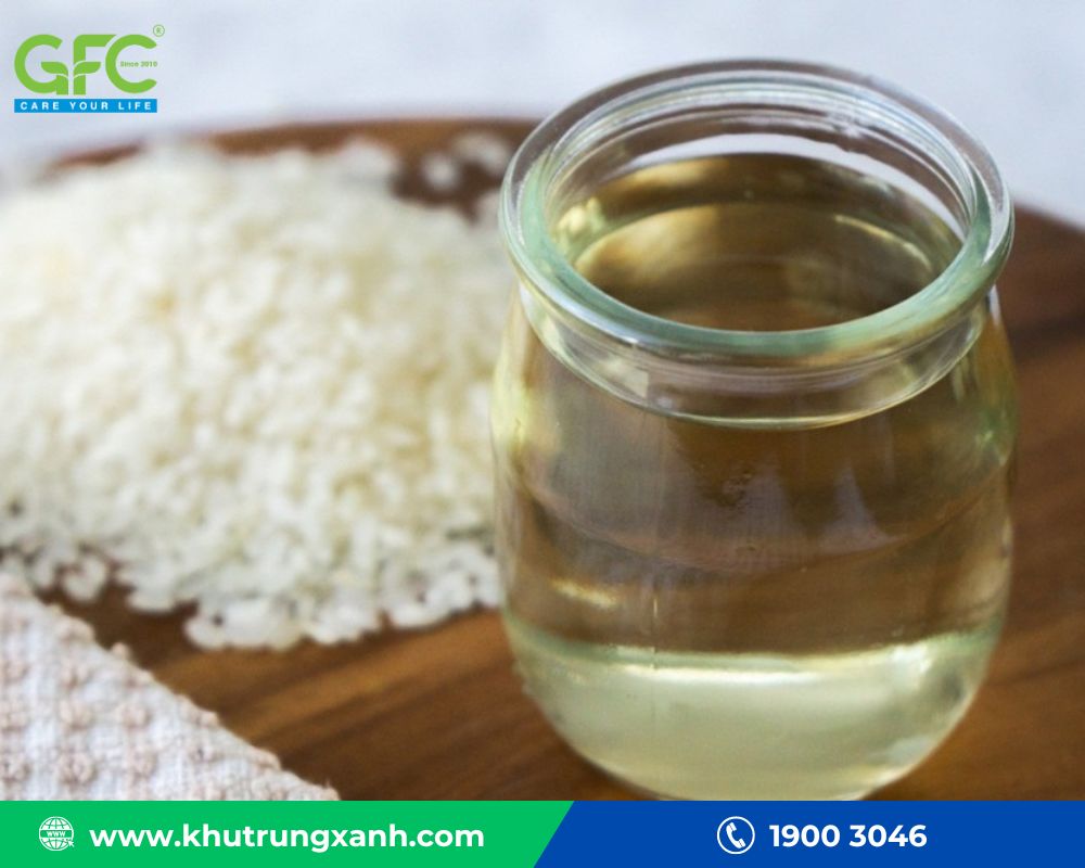 Đuổi chuột chù bằng giấm