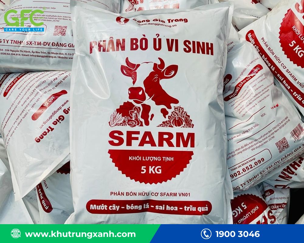 Tiêu diệt chuột chù bằng phân bò
