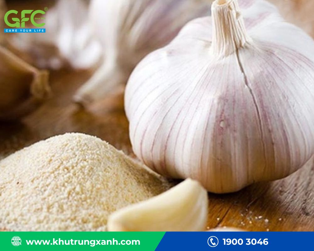 Sử dụng bột tỏi để đuổi chuột chù