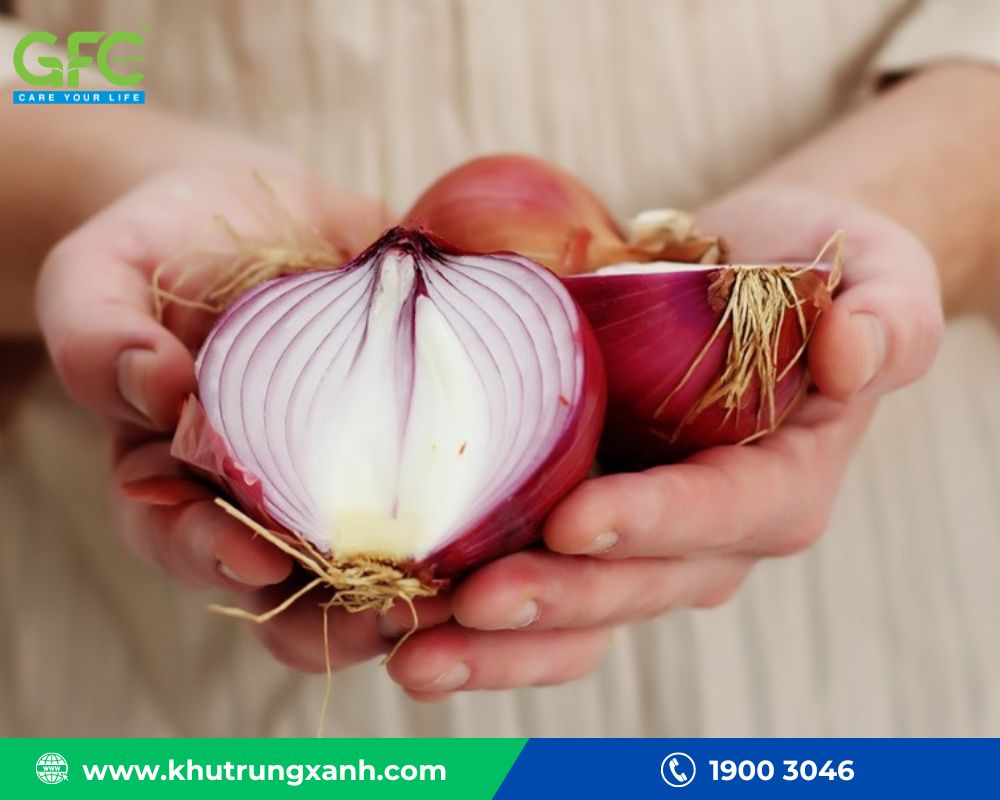 Dùng hay tây để tiêu diệt chuột chù
