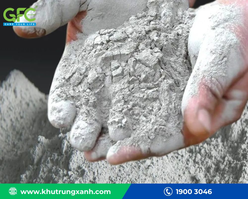 Sử dụng xi măng trộn với nước và muối để tiêu diệt chuột chù