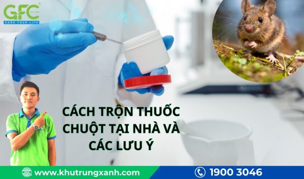 Cách trộn thuốc chuột tại nhà và các lưu ý khi trộn thuốc