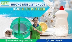 Hướng dẫn diệt chuột bằng nước rửa bát đơn giản, hiệu quả