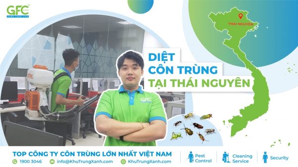 Dịch vụ diệt côn trùng tại Thái Nguyên uy tín, chuyên nghiệp