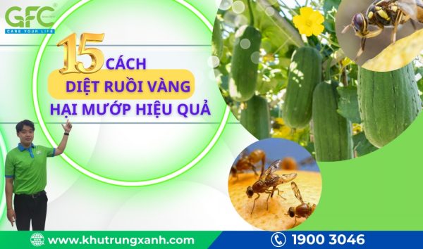 15 cách diệt ruồi vàng hại mướp hiệu quả, phổ biến hiện nay