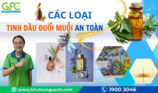 Các loại tinh dầu đuổi muỗi an toàn, hiệu quả tốt cho cả gia đình