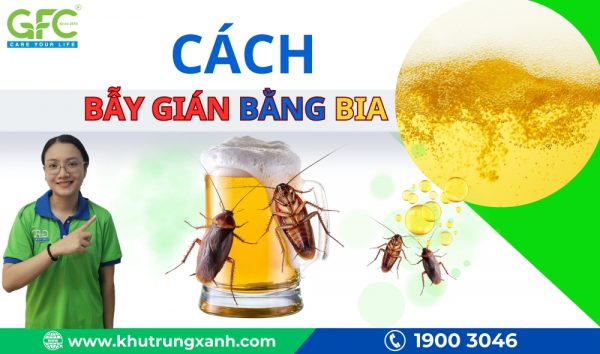 Cách diệt gián bằng bia vô cùng đơn giản tại nhà và hiệu quả