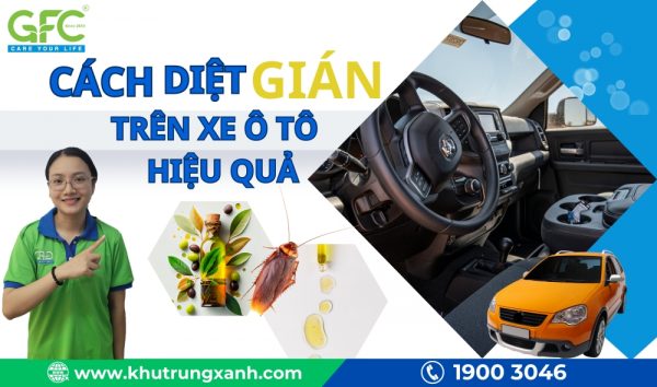 Cách diệt gián trên xe ô tô đơn giản và hiệu quả